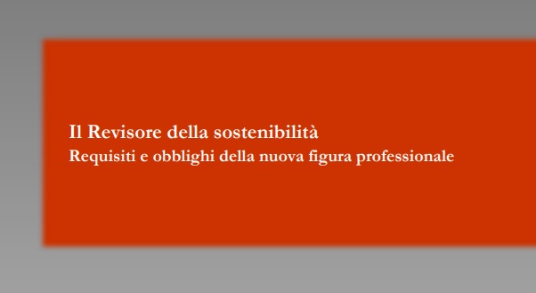 revisore sostenibilità. requisiti